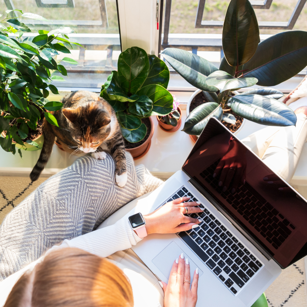Freelancing Websites for Students in India