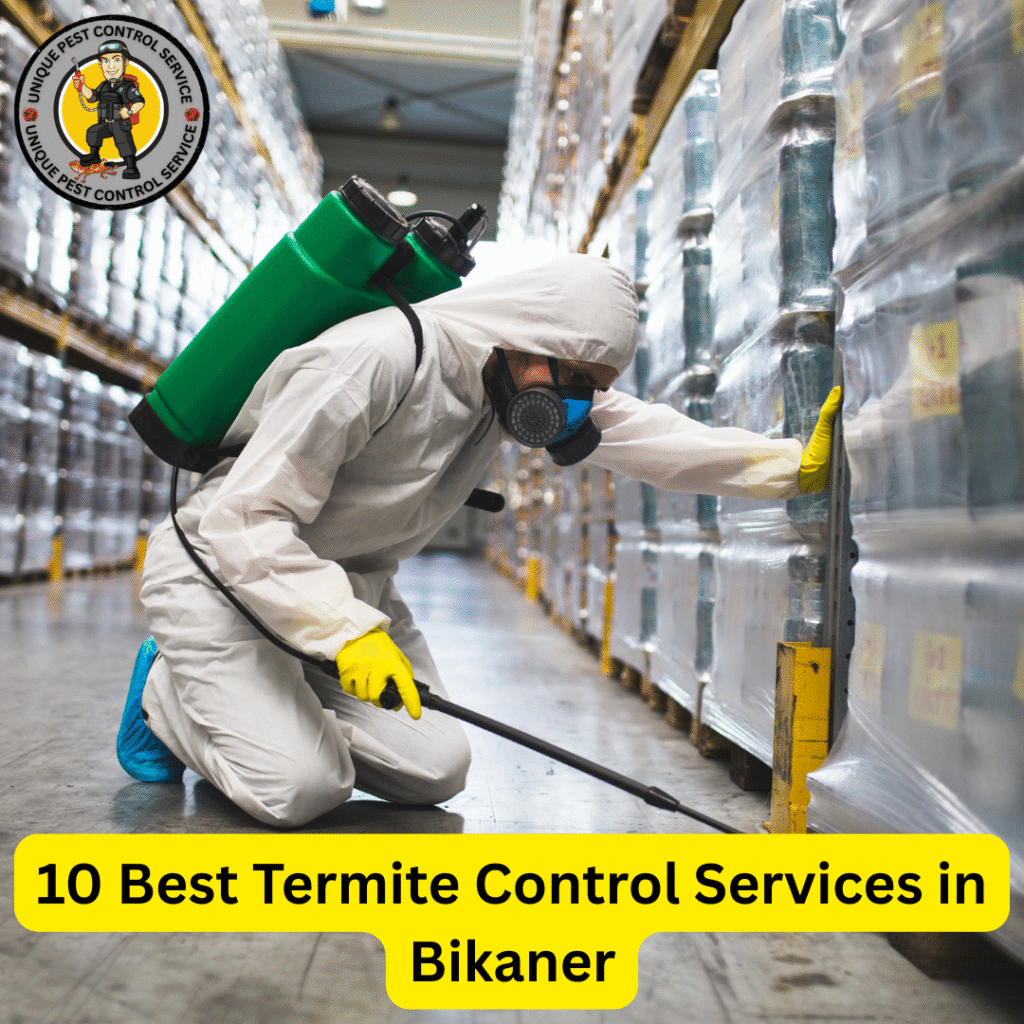 Best Termite Control Services in Bikaner
